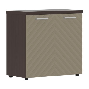Шкаф с глухими малыми дверьми и топом TLLC 85.1 856х450х833 TORR LUX